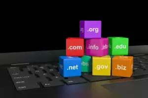 com-vs-net-vs-org